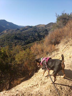 Seven on a hike