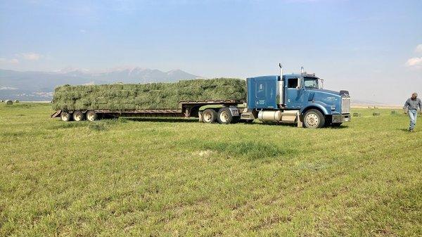 Hay time in Montana