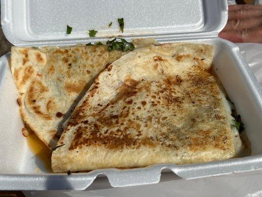 Massive quesadilla