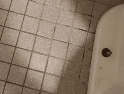 Floor and toilet, not cleaned