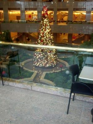 Christmas Tree in the BP Building , where i am visiting my eye doctor today