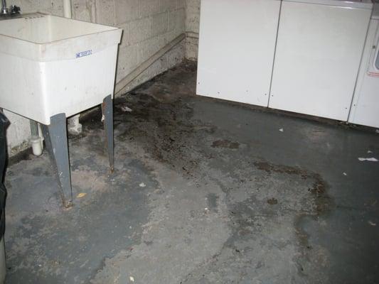 The laundry room at Forest Hill Terrace apartments. Complete with sewage backup they will not fix after 4+ maintenance requests.