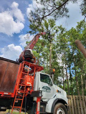 Lifting oak tree over house