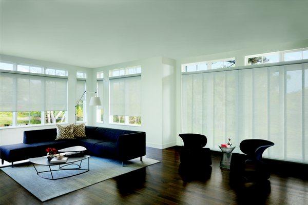 Skyline Panels and Screen Shades