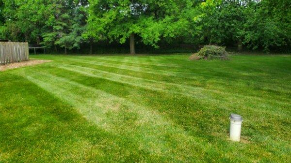 Lawn Maintenance