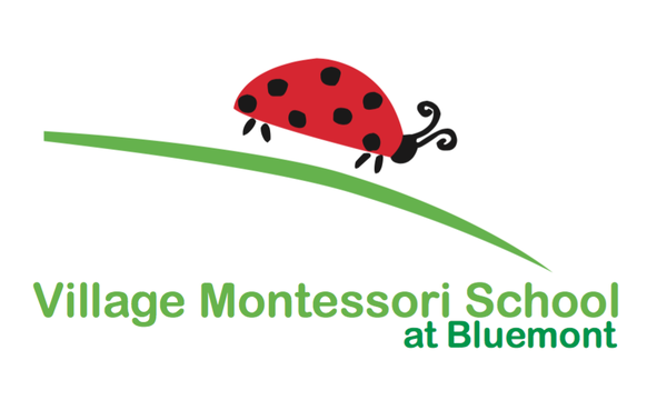 Village Montessori School at Bluemont Logo