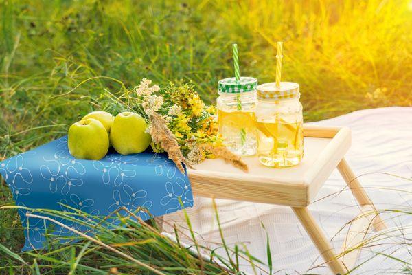 Summer picnics are even better - and easier - when you use our 100% handmade cotton napkins exclusively designed for multipurpose use.