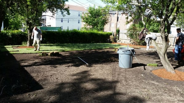 Laying some new sod