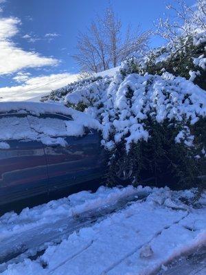 Parking lot when it snows.