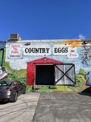 Country Eggs