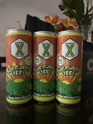 Brewery X - Succulent Sipper Seltzer