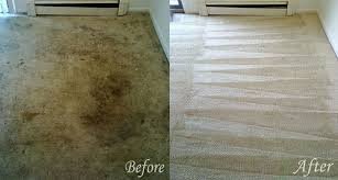 Carpet Cleaning