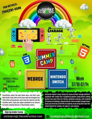 Website Development and Nintendo Switch Summer Camps