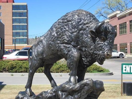 Buffalo Statue at Herrmann Insurance Agencies