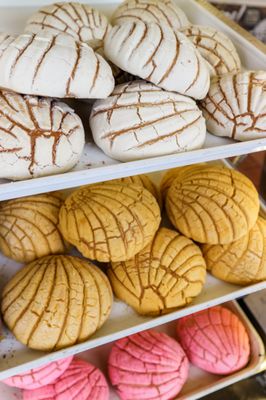 Pan Dulce - Conchas