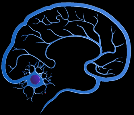 Neurological Associates of St Paul