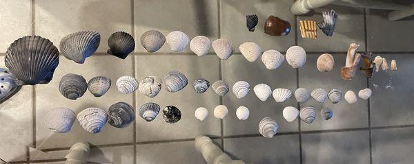 Shells