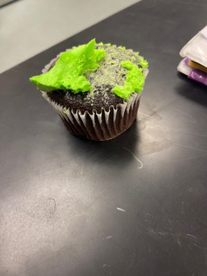 This is the yummy cupcake that my teacher got us not that disgusting sheet cake from Costco