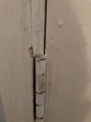 Front door damage