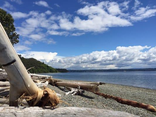 Gorgeous views and shoreline along the Puget Sound