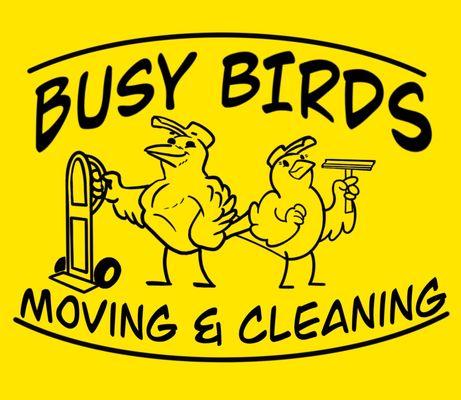 Busy Birds Moving and Cleaning