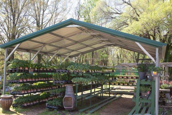 CFC Warrenton's Garden Center has everything you need to make your garden the best.