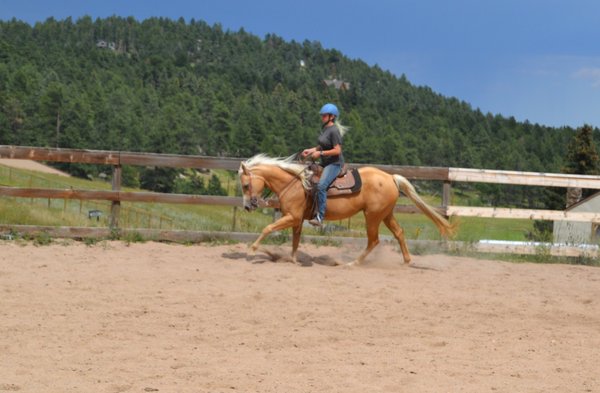 Our trainer, Brittnee, working with a horse.