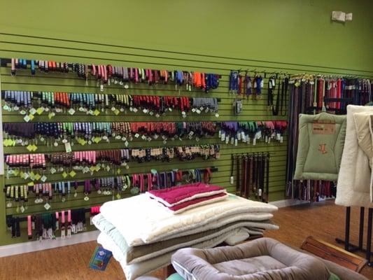 Lots of collars, leashes and harnesses to choose from.