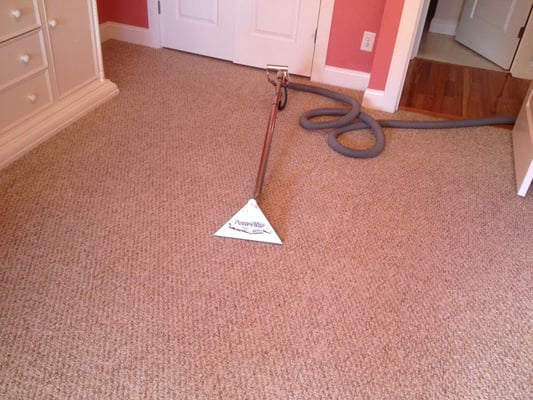 Berber Carpets Cleaned