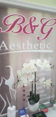 Body Aesthetics and Massages