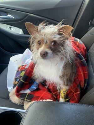 Clementine Marie Carbajal-Martin after her dental surgery