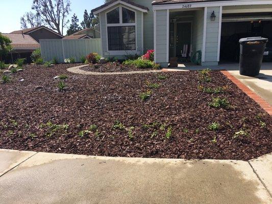 Front yard landscaping