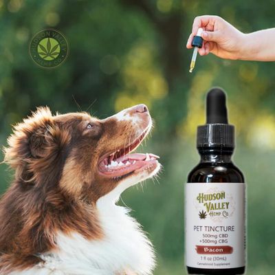 Bacon flavored pet tincture  great for the pets with joint discomfort  as well as anxiety CBD & CBG