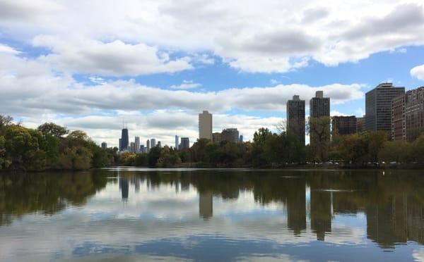 Managing Lakes and Ponds in Chicago!