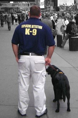 An Explosives Detection K-9 Team.