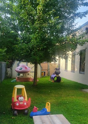 Our infant yard