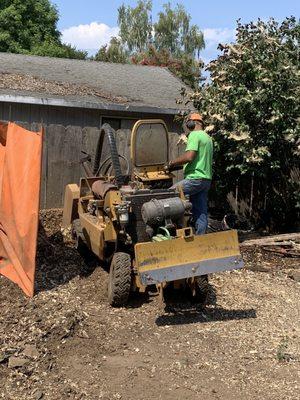 Stump Grinding