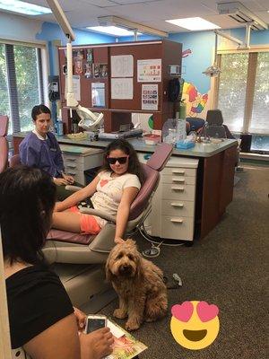 CCDA- Comforting Canine Dental Assistant