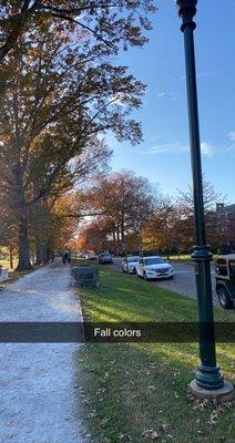 Ritter park nov 2020