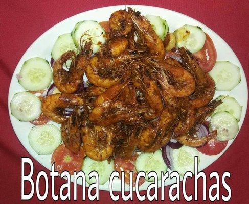 Camaraones Cucarachas