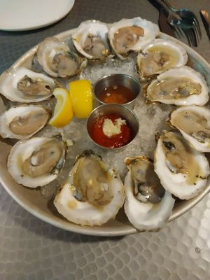 Fresh oysters