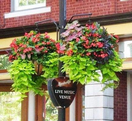 Visiting Nashville?  Enjoy our hanging baskets throughout downtown!