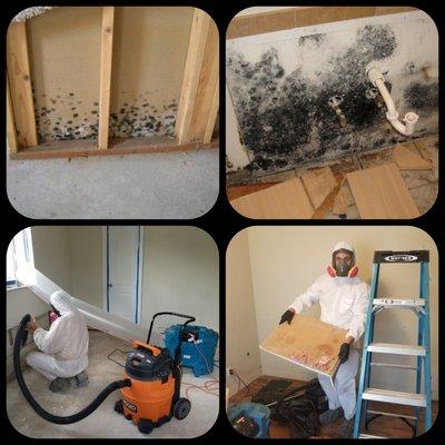 WHATS BEHIND YOUR DRYWALL?!MOLD?! CALL US FOR FREE MOISTURE-MOLD INSPECTION TODAY!