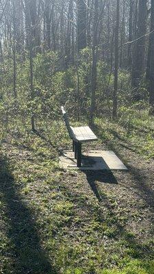 Bench in memory of Jeanne Hough " Who Loved BlueBells".