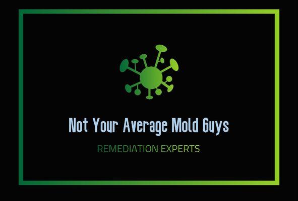 Not Your Average Mold Guys