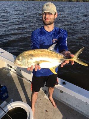 Jack crevalle