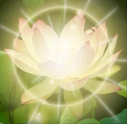 Awaken to wellness with REIKI AWAKENINGS