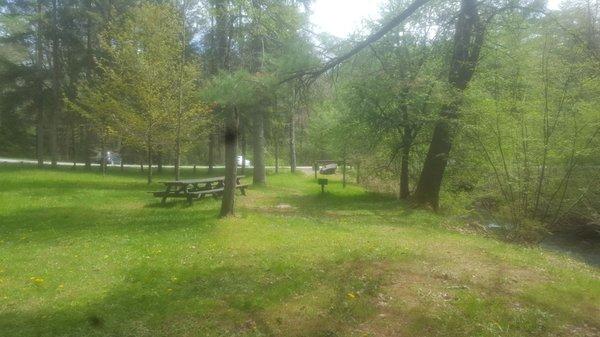 Picnic Area