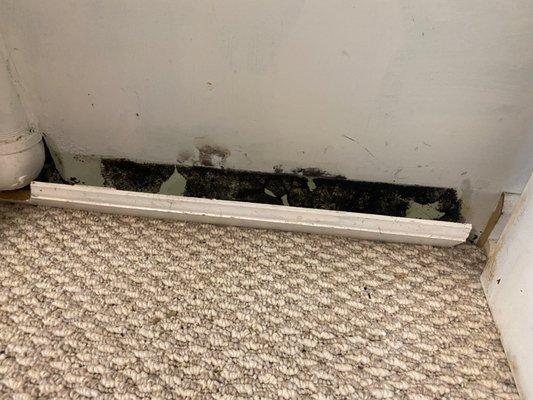 Mold found during home inspection