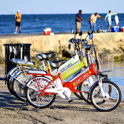 Leafy Bikes - Just Enjoy The Ride